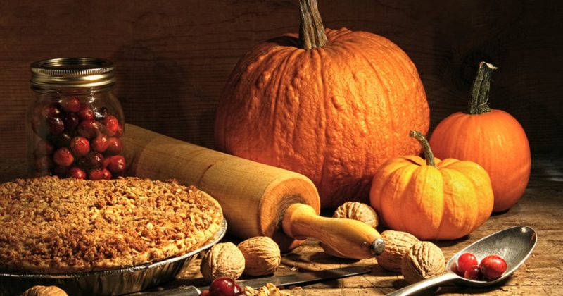 The Palmier Foundation Wishes Everyone a Happy Thanksgiving